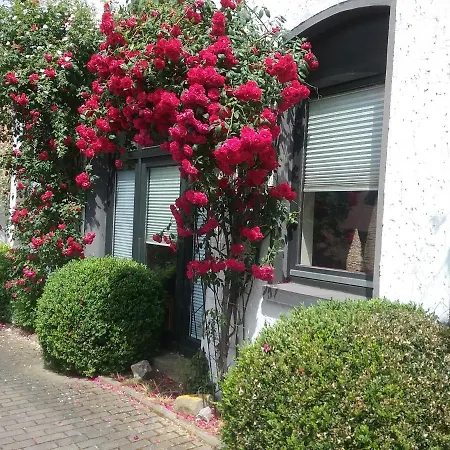 Altstadt-apartment Daire *