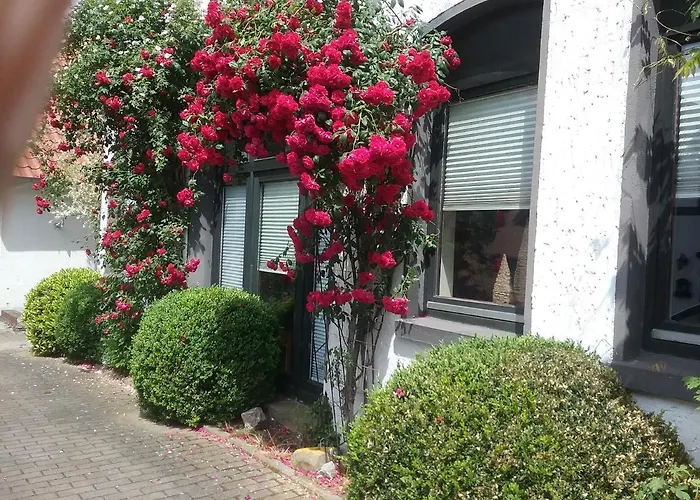 Altstadt-apartment Apartament *